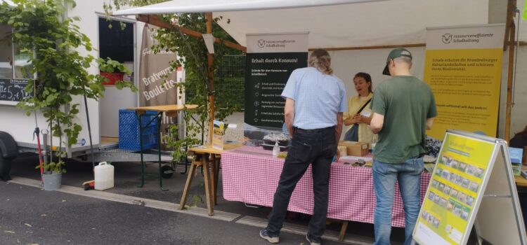 Wieder dabei: „reffiSchaf“ auf dem Umweltfestival 2025! Wieder dabei: „reffiSchaf“ auf dem Umweltfestival 2025!